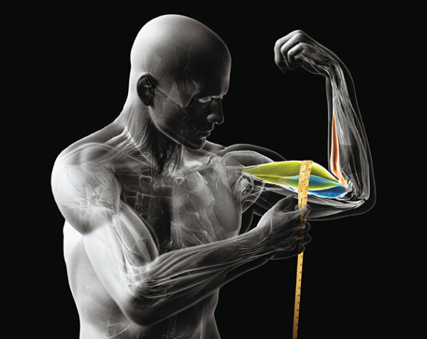 Три шага к большому бицепсу: правильная техника прокачки рук