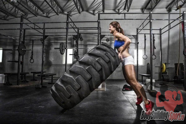 Можно ли и нужно ли тренироваться каждый день? Можно ли и нужно ли тренироваться каждый день?