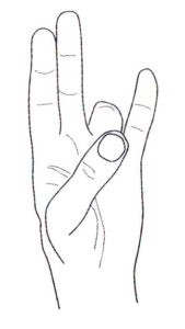 Правильное выполнение Сурья-мудры для стройности Правильное выполнение Сурья-мудры для стройности