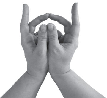 Для чего и как выполнять мудру “Бесстрашный тигр”?