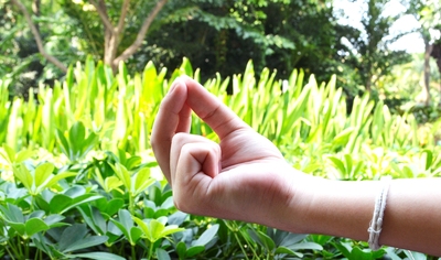 Очень мощная мудра Кубера для исполнения желаний и привлечения богатств Очень мощная мудра Кубера для исполнения желаний и привлечения богатств