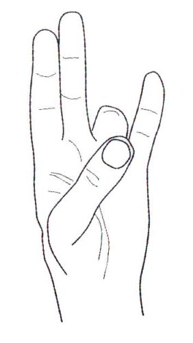 Какие делать мудры для желудка и пищеварения? Какие делать мудры для желудка и пищеварения?