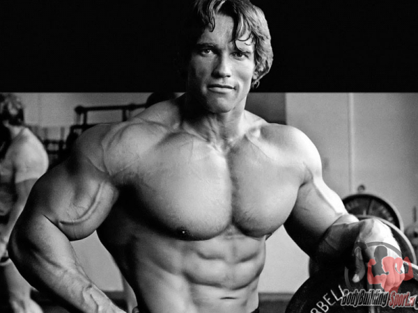 Арнольд Шварценеггер – Рост, вес, бицепс, грудь, жим, антропометрия и силовые показатели