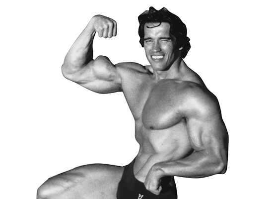 Секретная тренировка Арнольда Шварценеггера: 4 шага к «Мистеру Олимпия» Секретная тренировка Арнольда Шварценеггера: 4 шага к «Мистеру Олимпия»