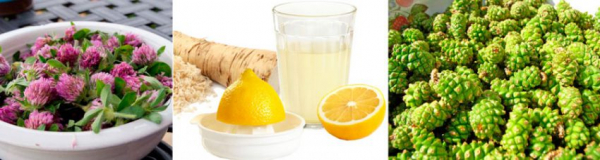 Таблетки для улучшения мозговой деятельности и памяти Таблетки для улучшения мозговой деятельности и памяти