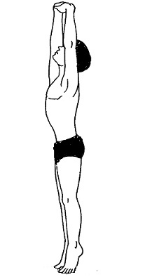 Полное очищение всего ЖКТ: все нюансы и инструкция по выполнению Шанк Пракшаланы Полное очищение всего ЖКТ: все нюансы и инструкция по выполнению Шанк Пракшаланы