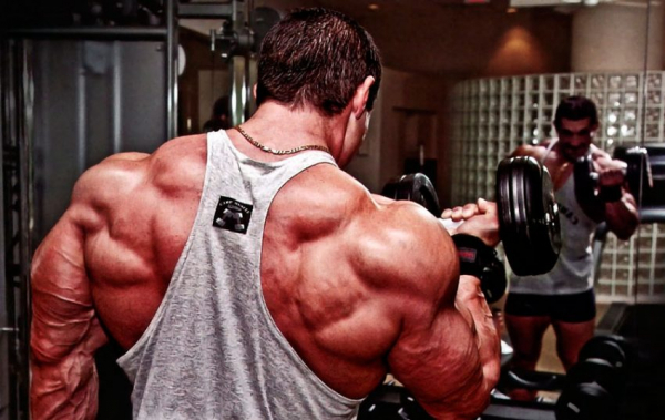 Программа тренировок Фулбоди Программа тренировок Фулбоди