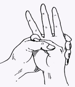 Какие делать мудры для лечения печени и желчного пузыря? Какие делать мудры для лечения печени и желчного пузыря?