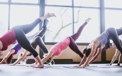 Все особенности и принципы Аштанга-виньясы йоги: мощное укрепление тела и духа Все особенности и принципы Аштанга-виньясы йоги: мощное укрепление тела и духа