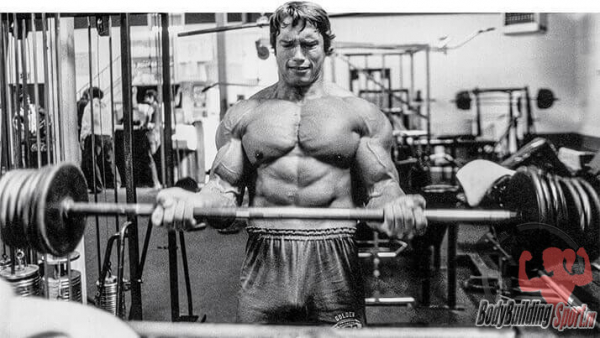 Тренировка бицепса – советы Арнольда Тренировка бицепса – советы Арнольда