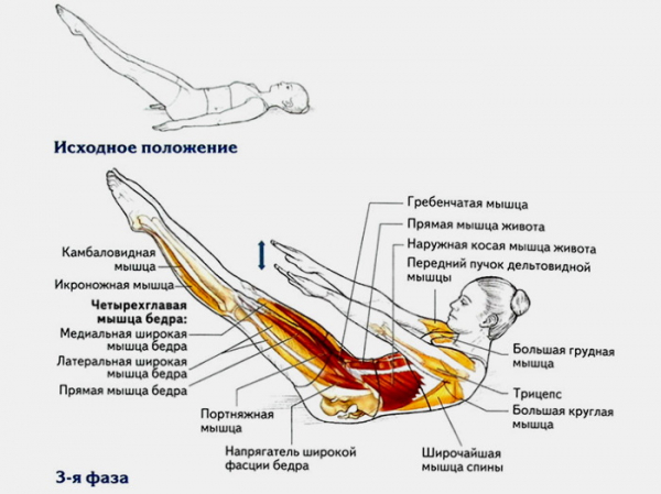 Упражнения пилатеса в домашних условиях. Видео-уроки для начинающих