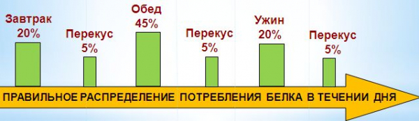 Продукты содержащие больше всего белка Продукты содержащие больше всего белка