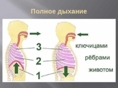 Мощное воздействие на всех уровнях – освойте технику выполнения полного йоговского дыхания