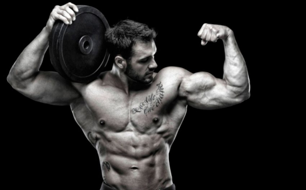 Программа тренировок Фулбоди Программа тренировок Фулбоди