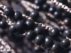 Ягоды асаи для похудения Ягоды асаи для похудения