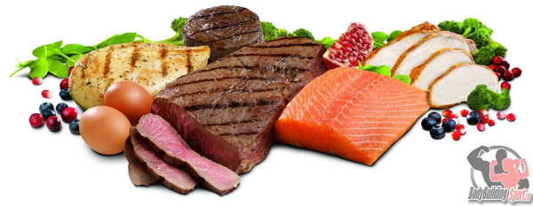 Ответы на часто задаваемые вопросы о белке Ответы на часто задаваемые вопросы о белке